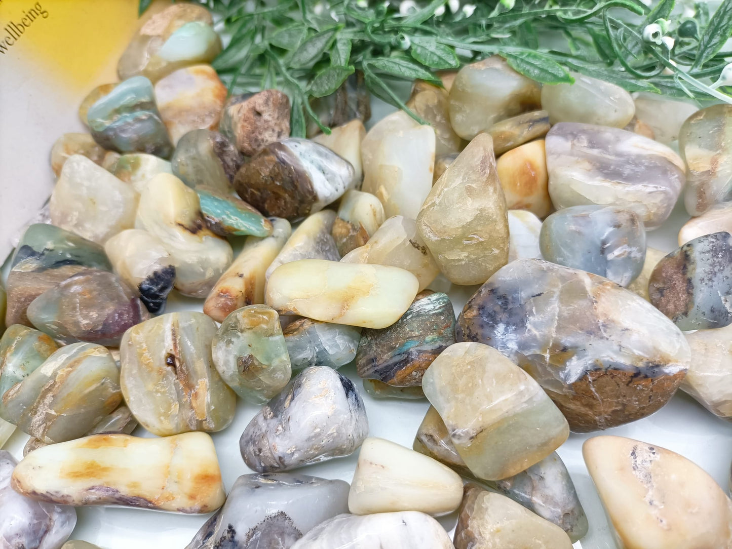 Andean Opal Tumbled Stone Crystal Wellness