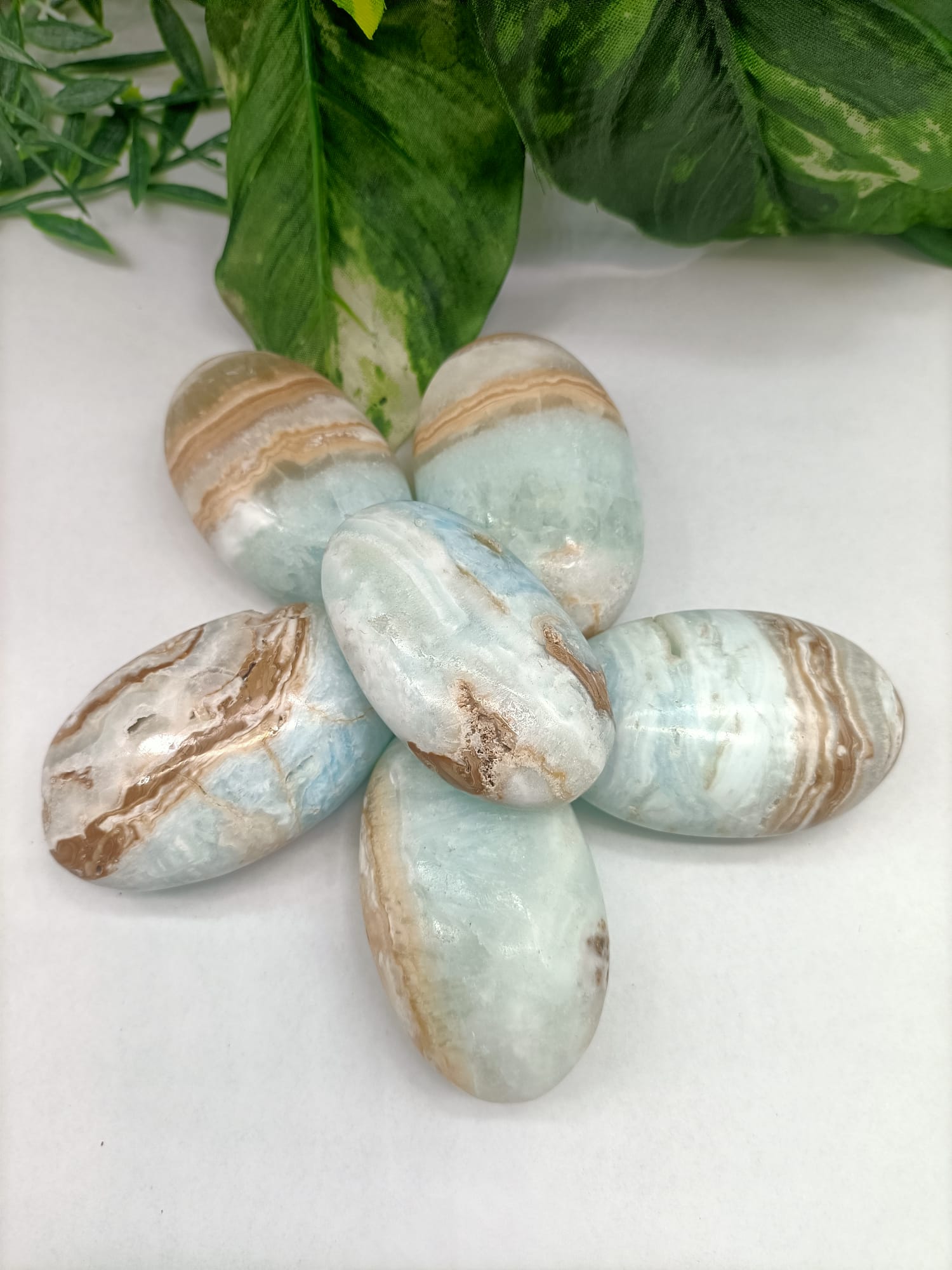 Caribbean Blue Calcite Palm Stone Crystal Wellness