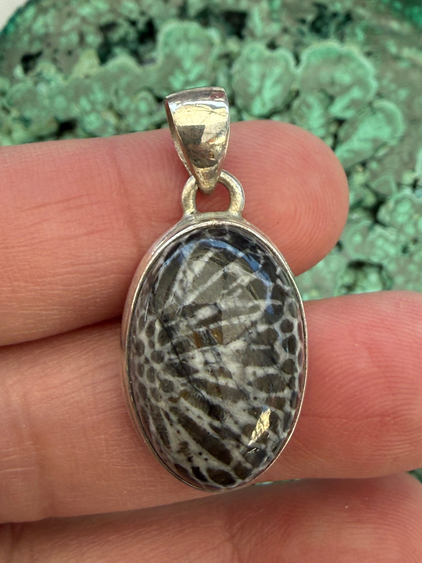 Ocean Guardian Black Coral Pendant 22mmx15mm Crystal Wellness