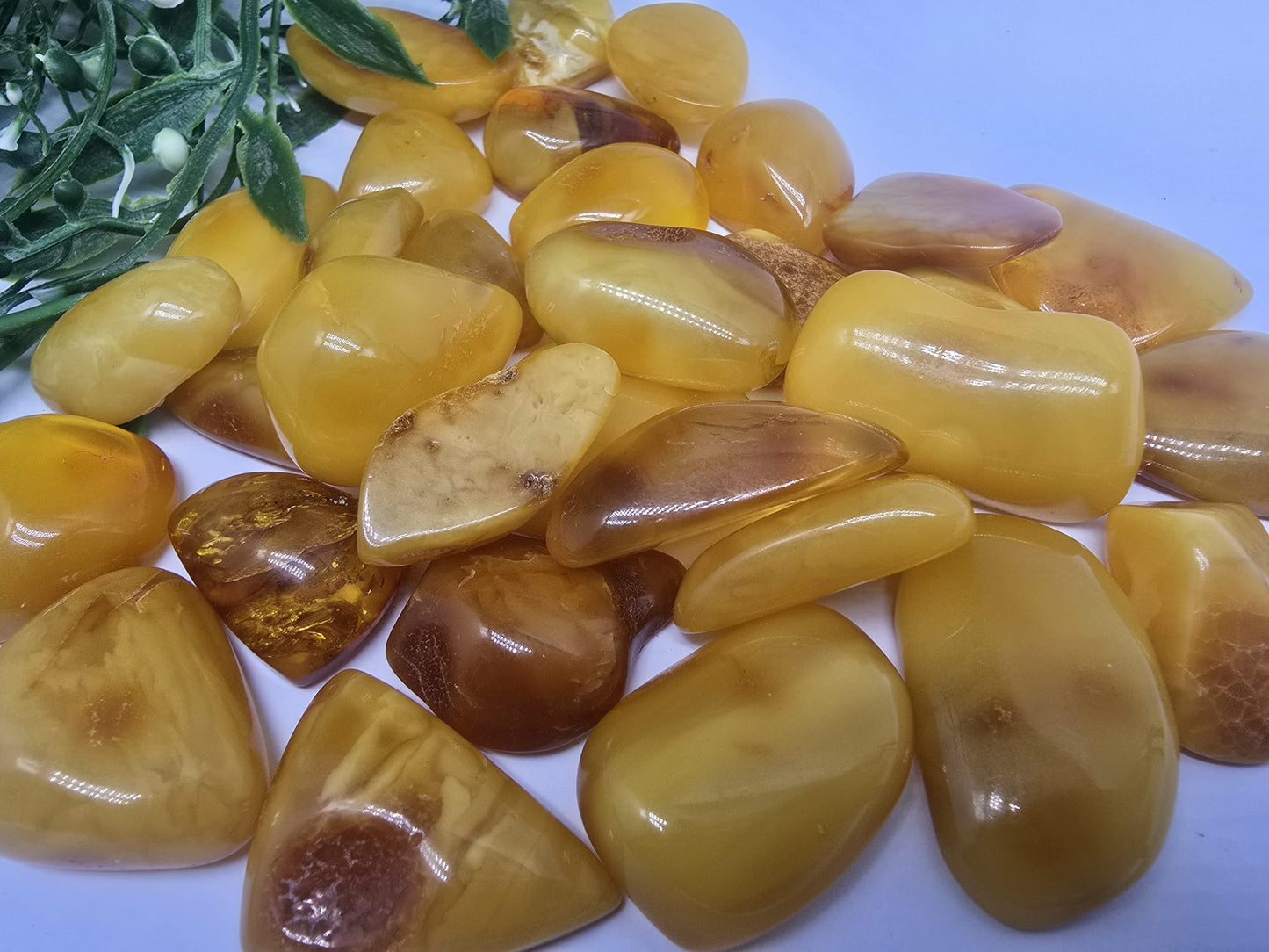 Butterscotch Amber Cabochon AAA Grade Crystal Wellness
