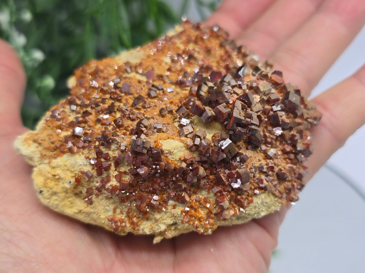 Rare Vanadinite with Baryte Cluster 282g Crystal Wellness