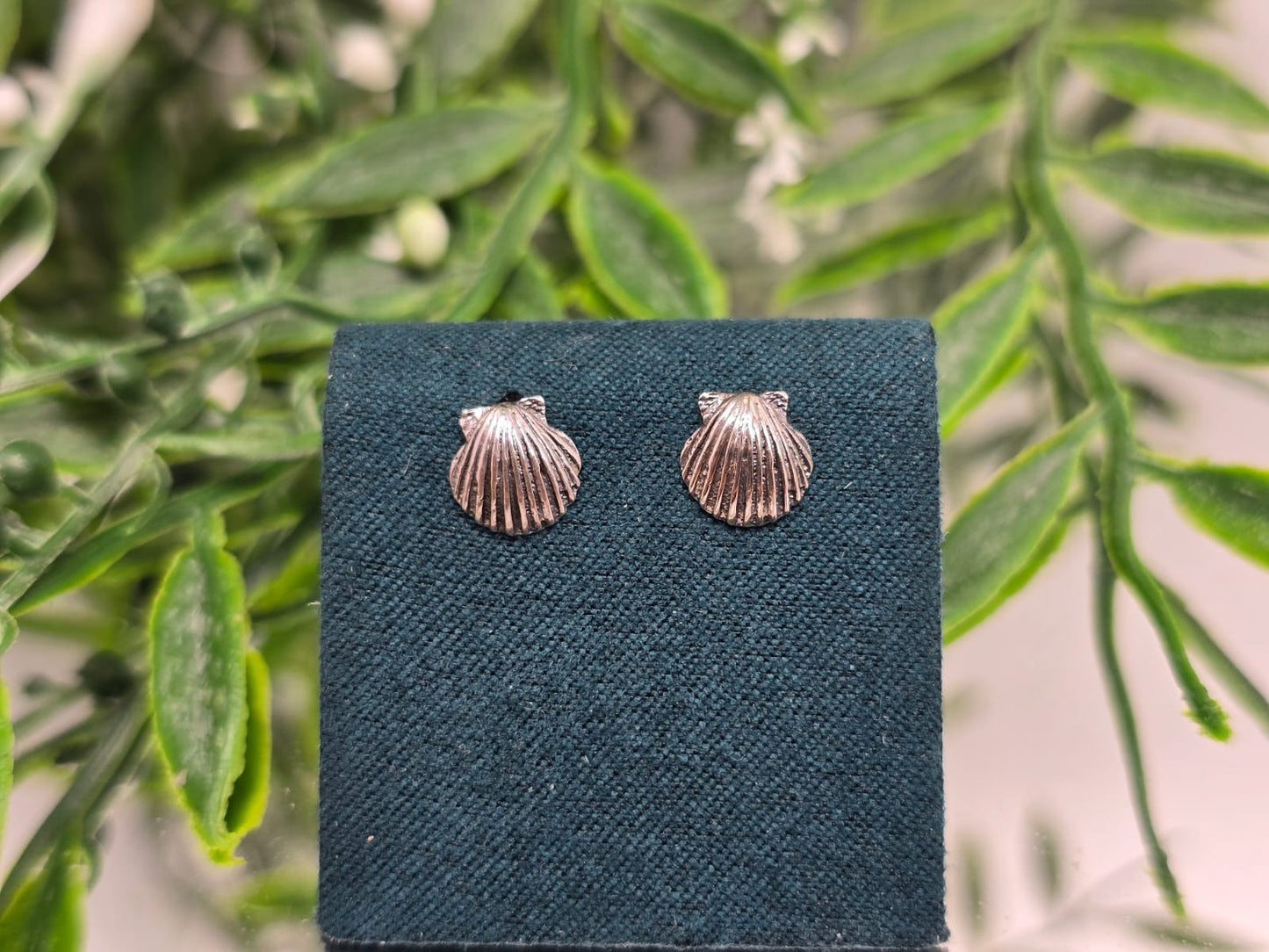 Seashell Sterling Silver Stud Earrings Crystal Wellness