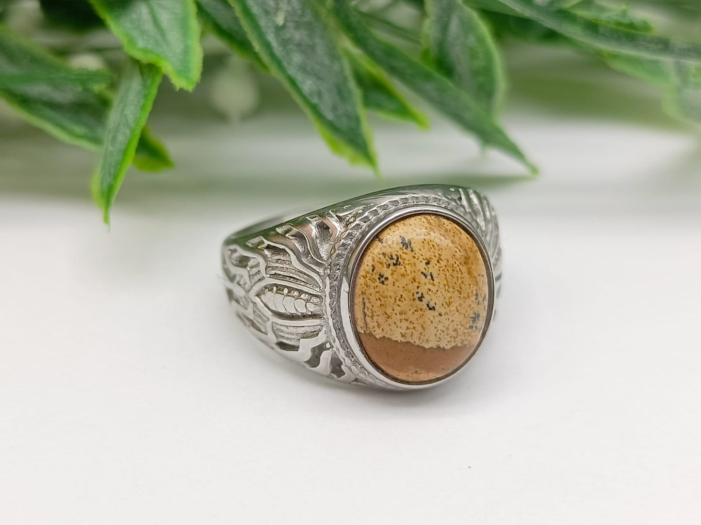 Picture Jasper Titanium Ring Size 9 Crystal Wellness