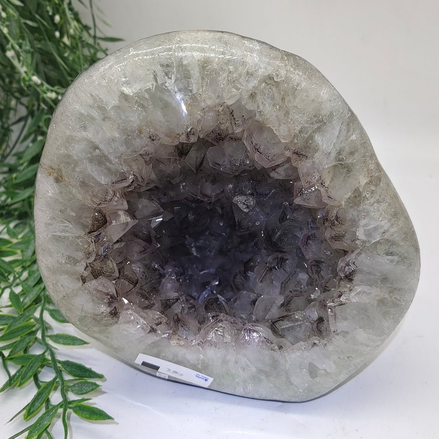 Amethyst Natural Geode 18x20x11cm 3.9kg Crystal Wellness
