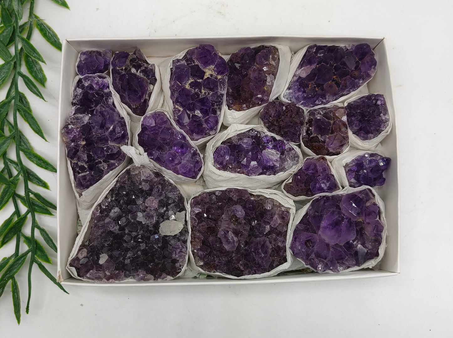 Amethyst Cluster in Flat - Best Value Crystal Wellness