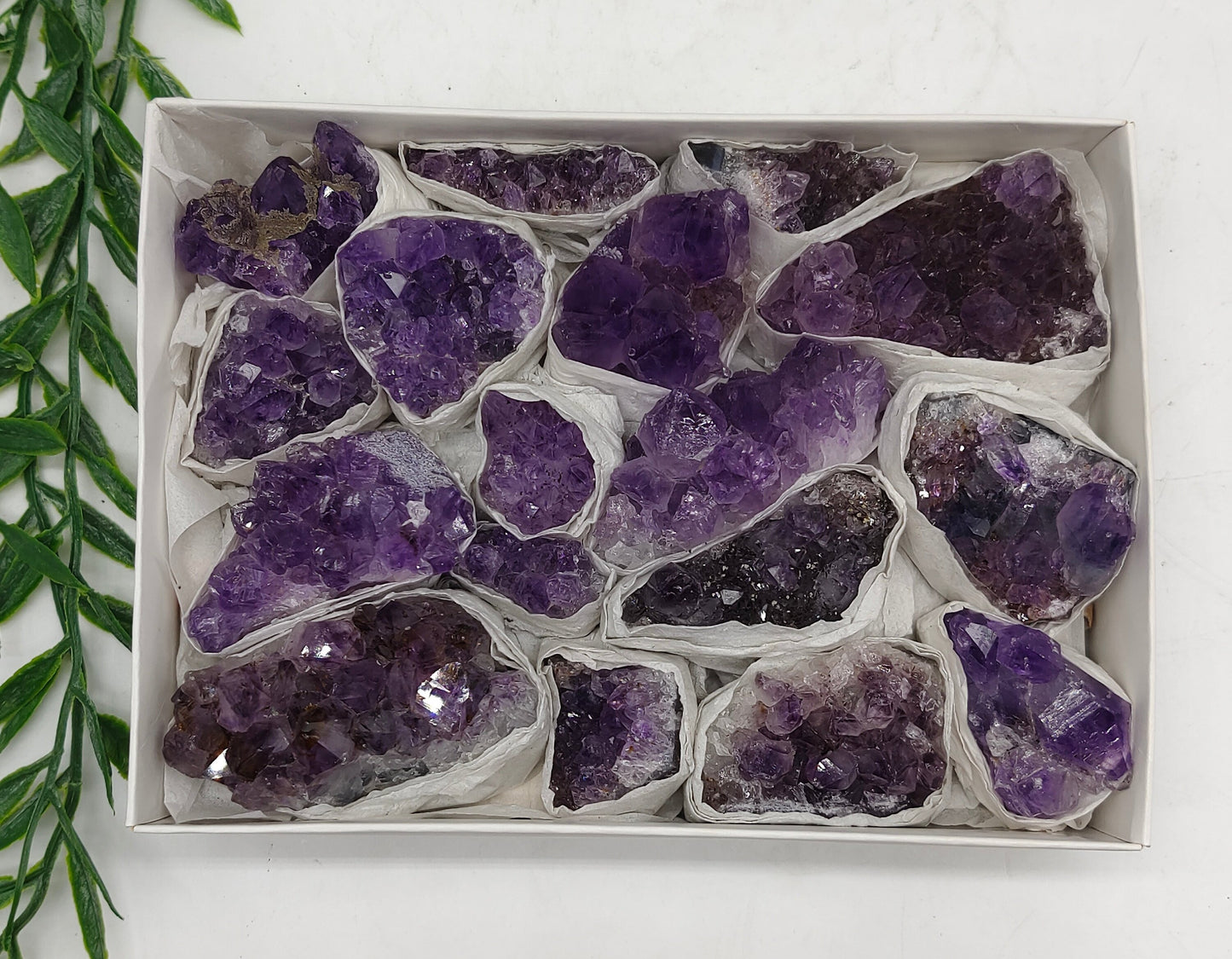 Amethyst Cluster in Flat - Best Value Crystal Wellness
