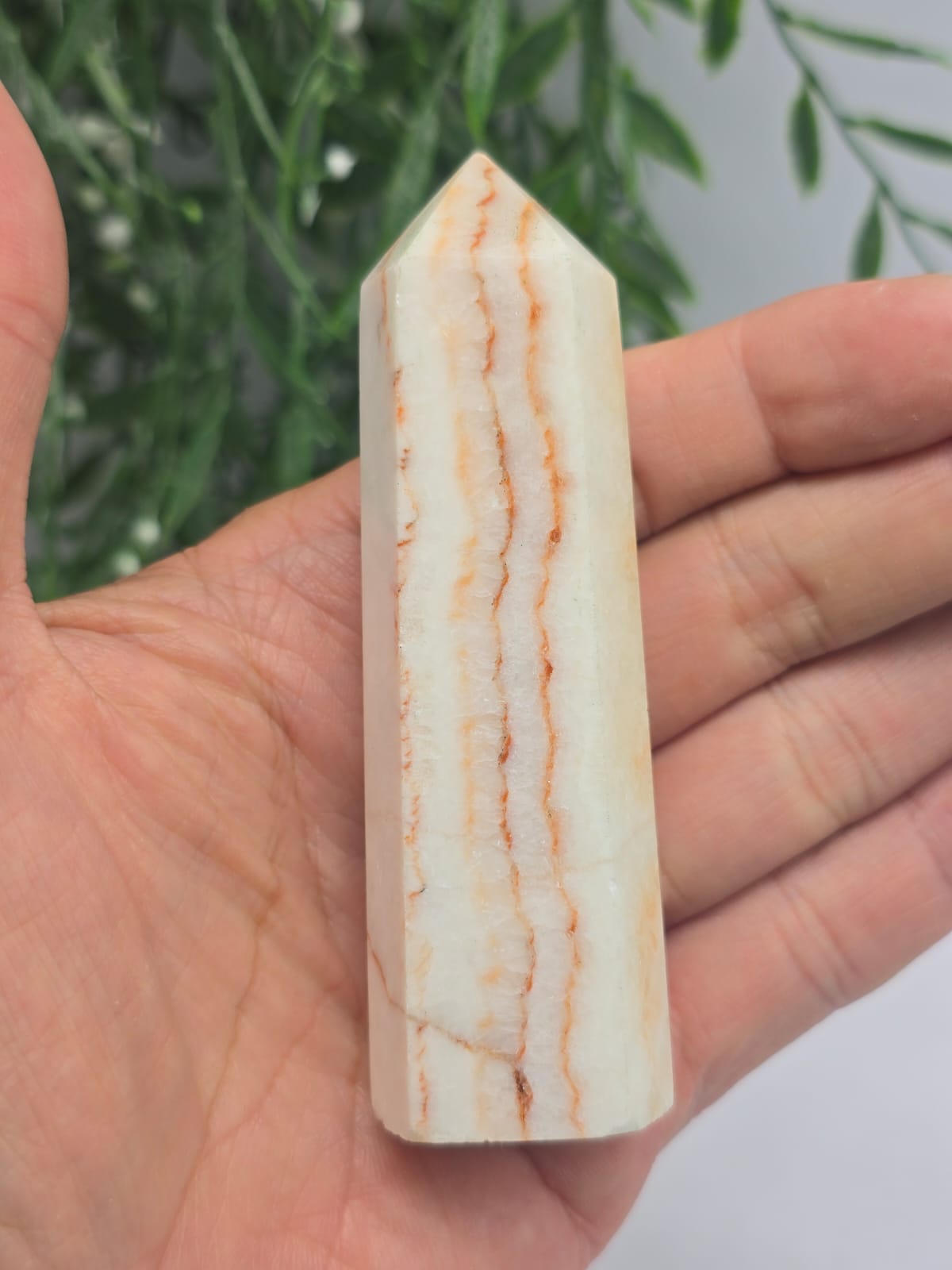 Dali Jasper Point Crystal Wellness