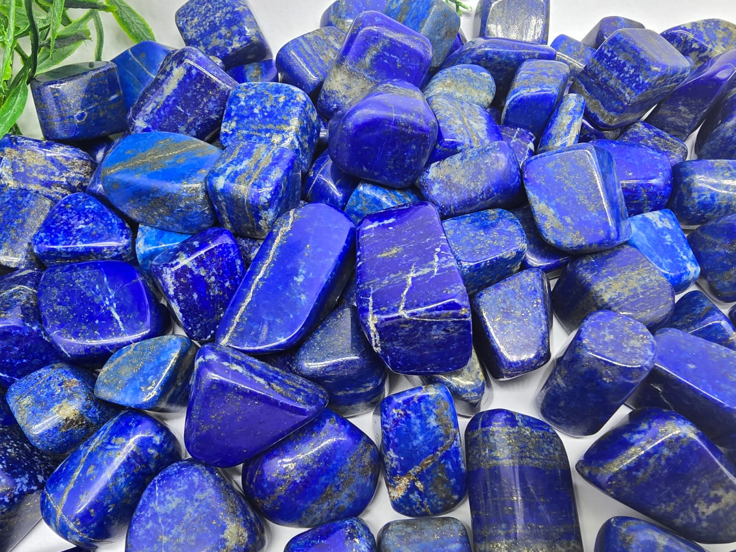 Lapis Lazuli Tumbled Stone AAA Grade Crystal Wellness