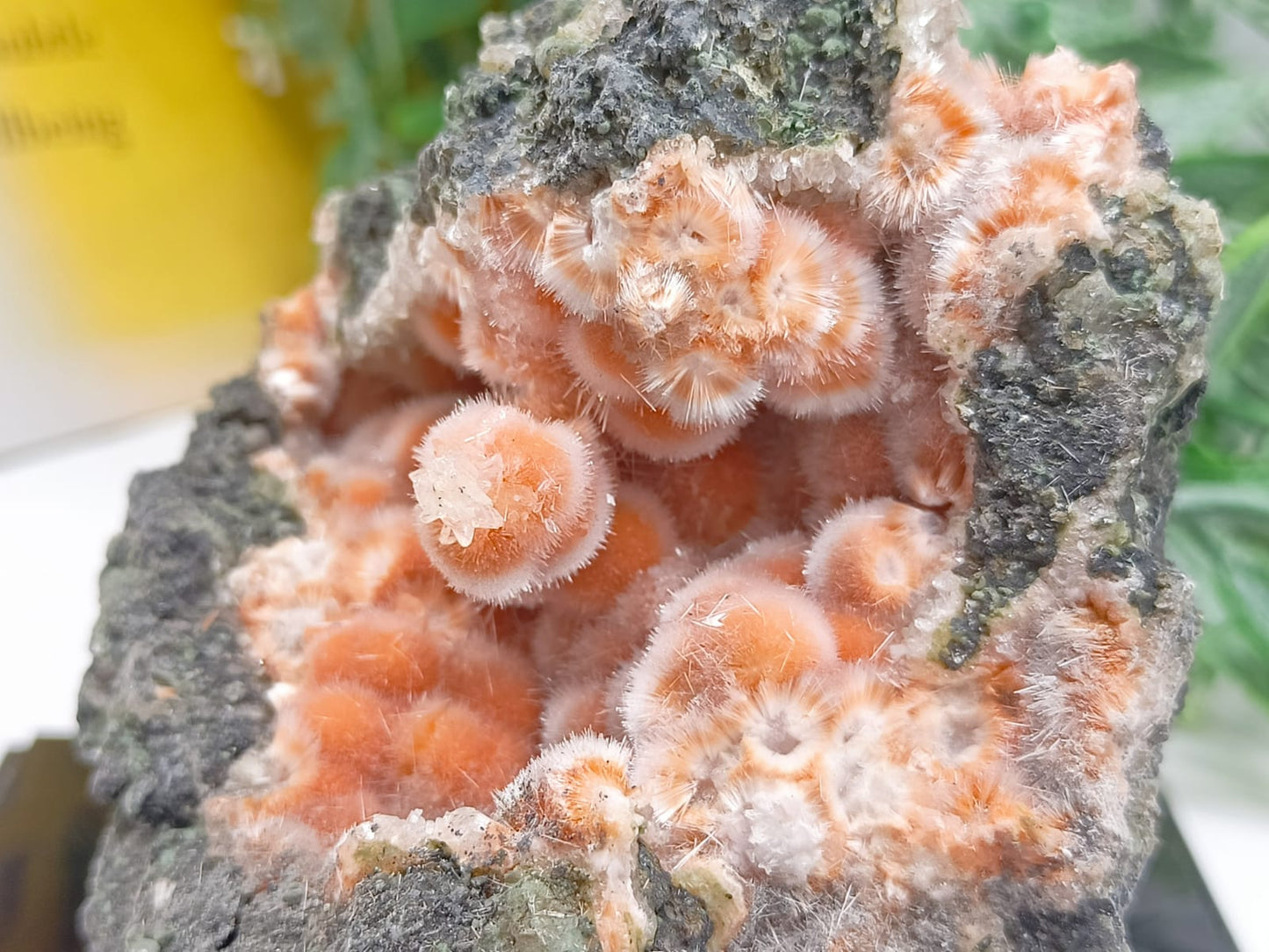 Orange Thomsonite with Mesolite Spikes 77x75x55mm Crystal Wellness