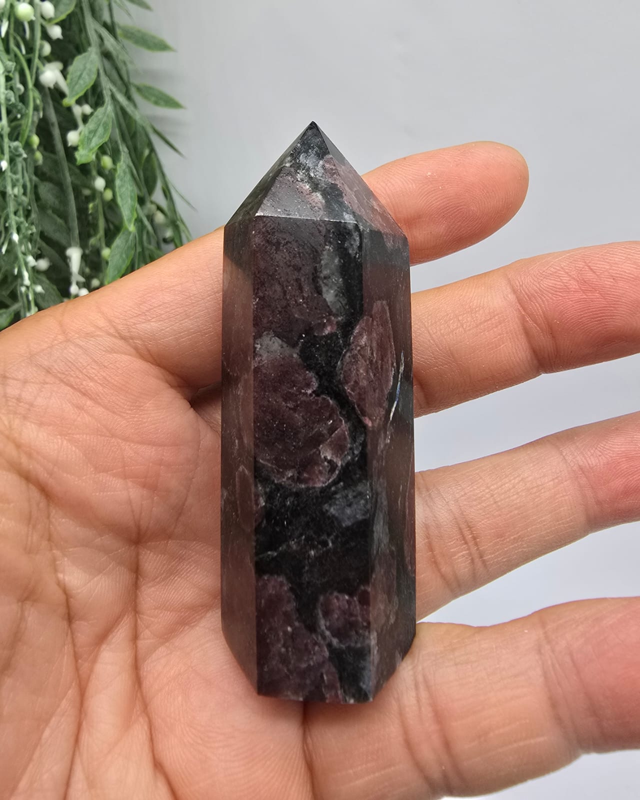 Garnet in Arfvedsonite Tower Crystal Wellness