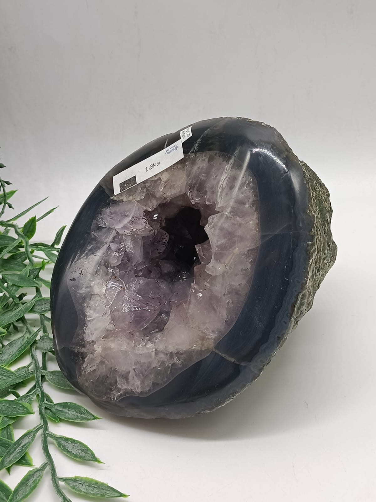 Amethyst Geode Natural Shape 1.9kg 14x12x10cm Crystal Wellness
