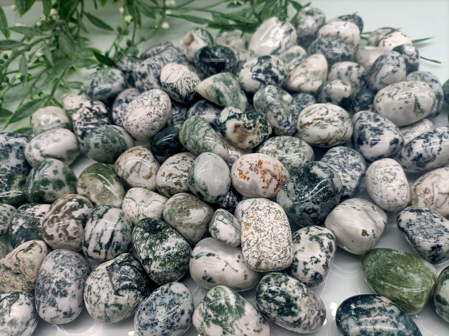 Tree Agate Tumbled Stone Crystal Wellness