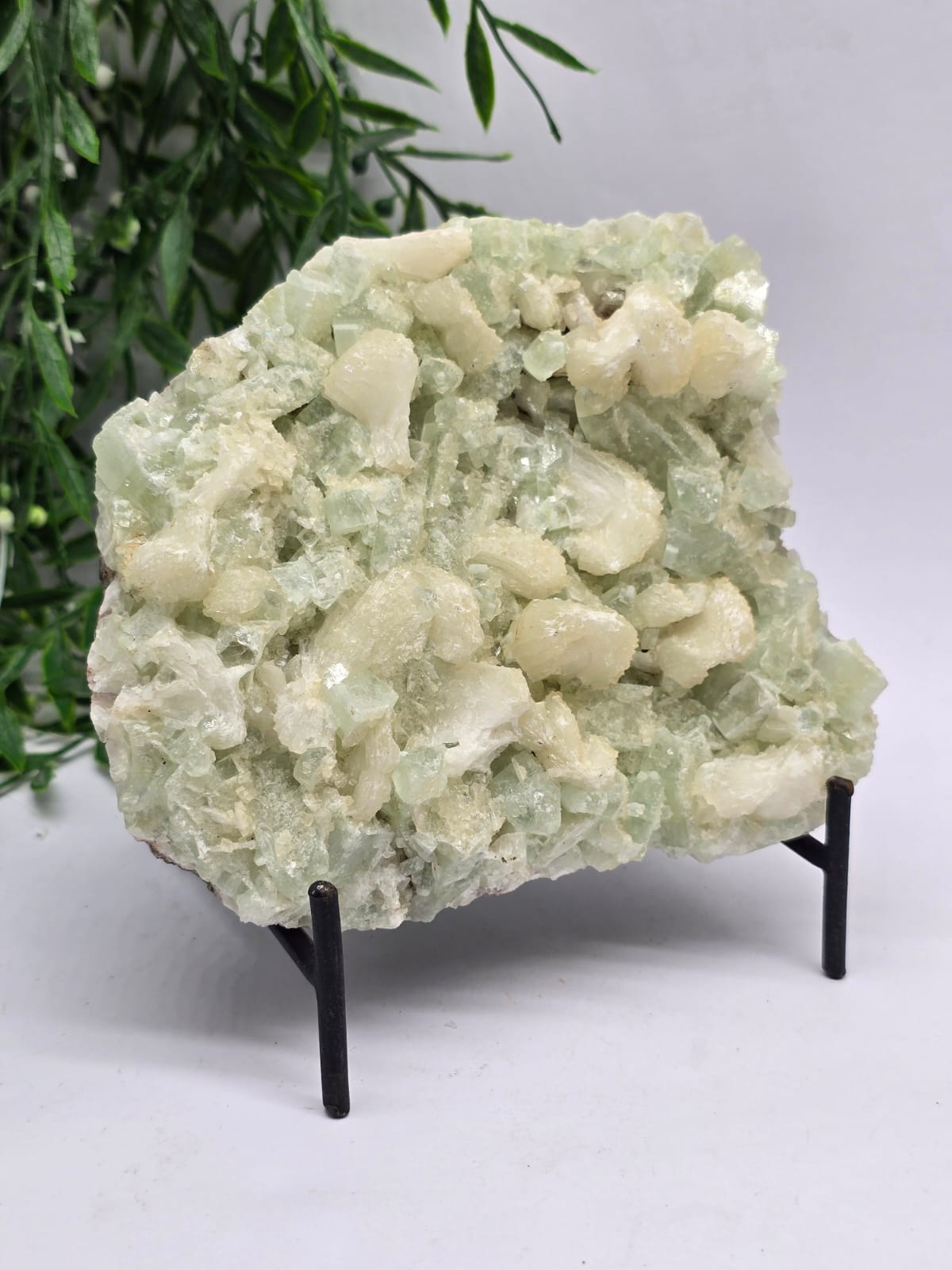 Green Apophyllite with Stillbite 1.2kg Crystal Wellness