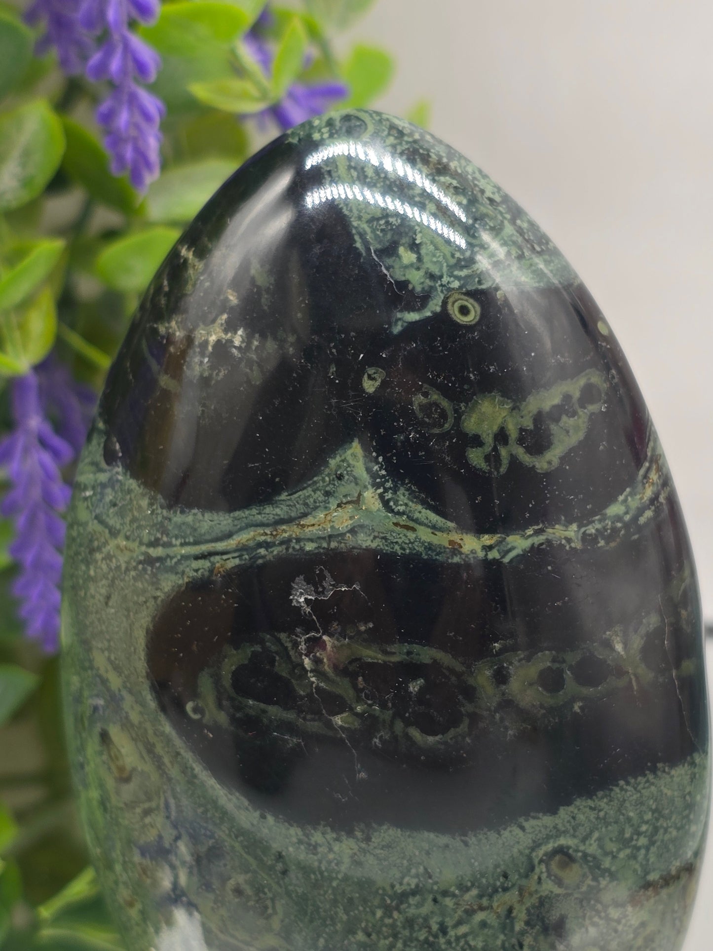 Premium Kambaba Jasper Freeform – Stone of Peace, Grounding & Tranquility Crystal Wellness