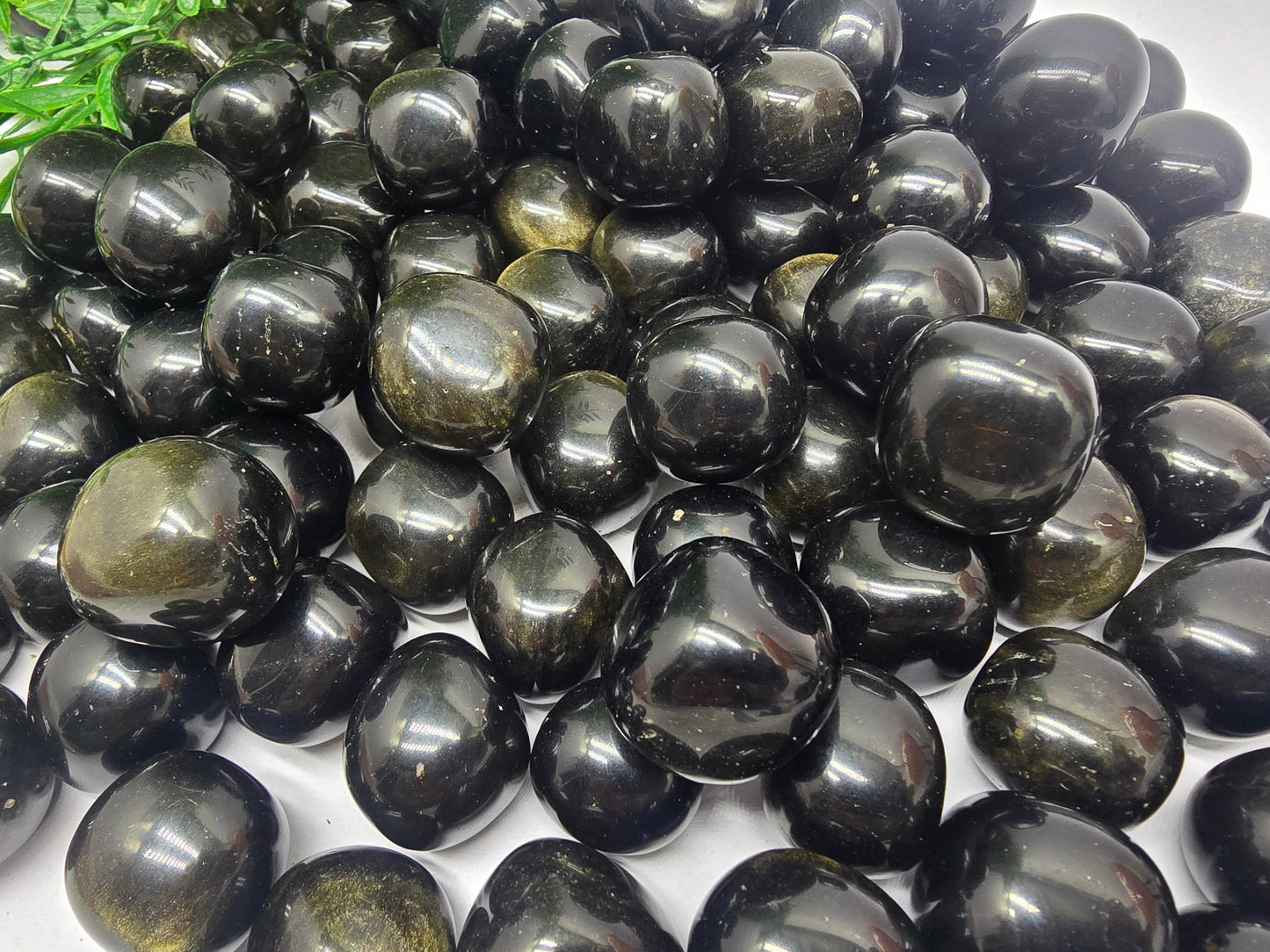 Gold Sheen Obsidian Tumbled Stones Crystal Wellness