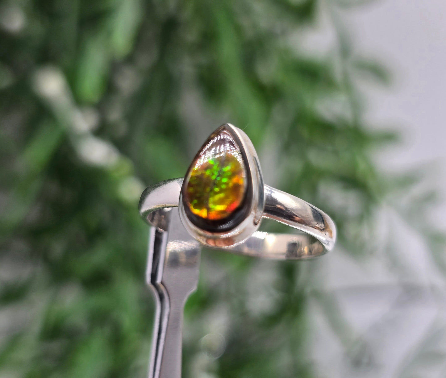 🌈 Canadian Ammolite 925 Sterling Silver Ring – Size 10 | Stone of Transformation, Prosperity & Ancient Earth Energy Crystal Wellness