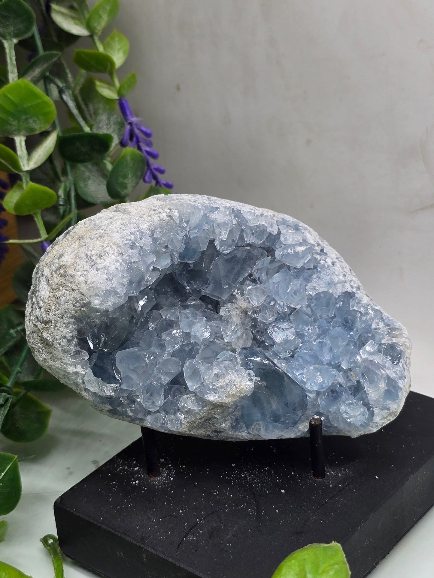 Celestite Geode (Madagascar) – Premium Quality | Serenity • Divine Connection • Inner Peace Crystal Wellness