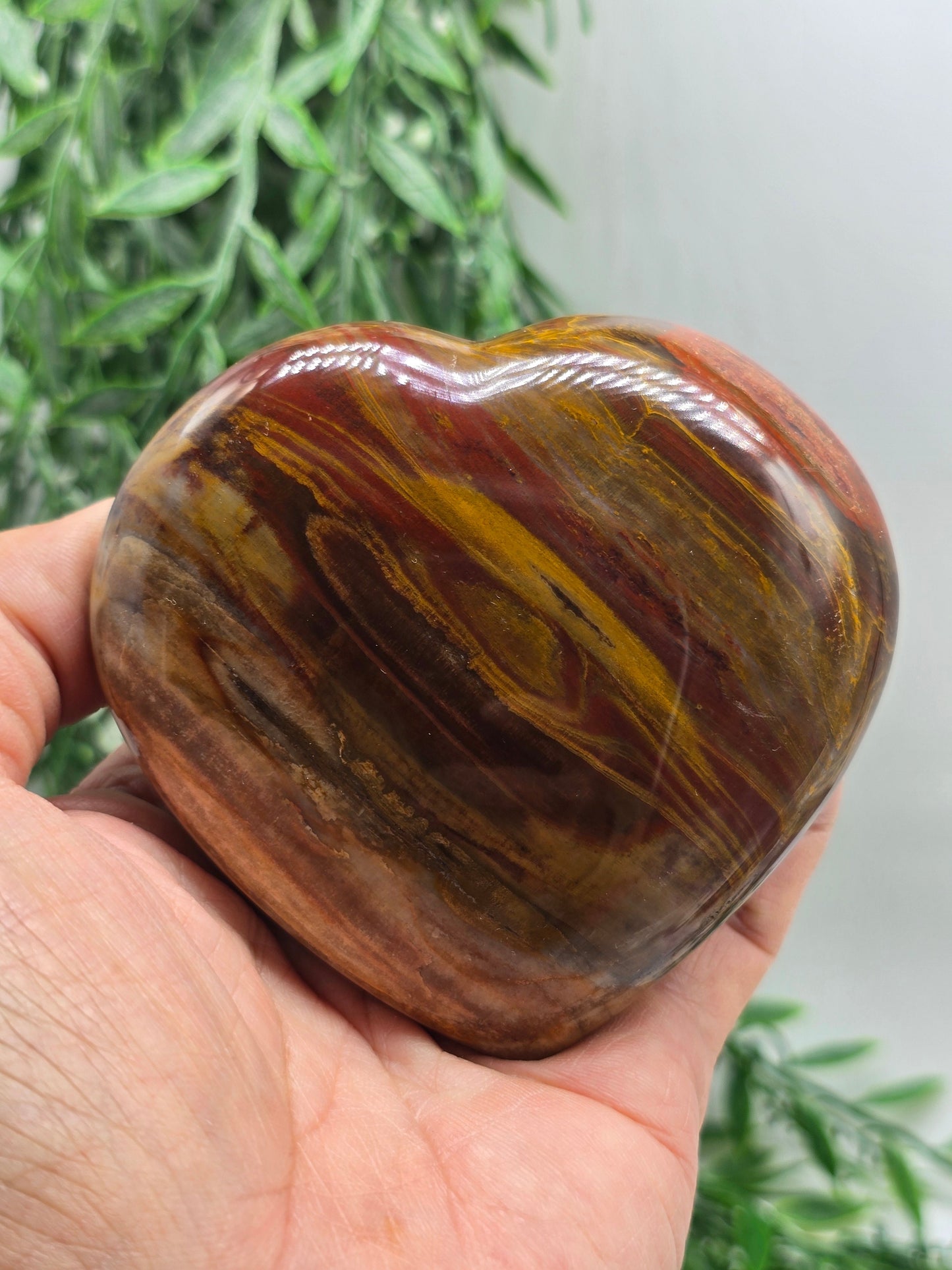 Petrified Wood Heart – Madagascar | 369g (Stand Included) Crystal Wellness