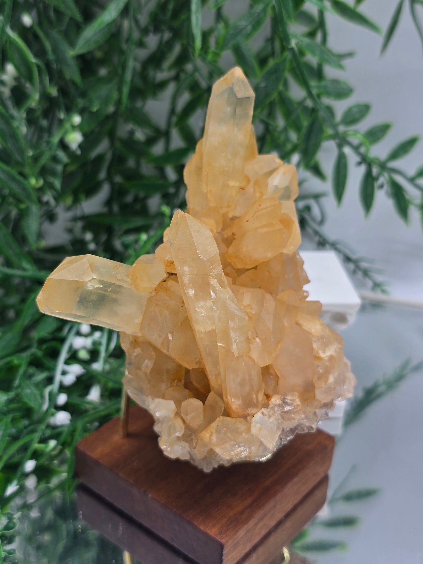 Natural Citrine Crystal Cluster — Stone of Abundance & Radiant Success | 402g Crystal Wellness