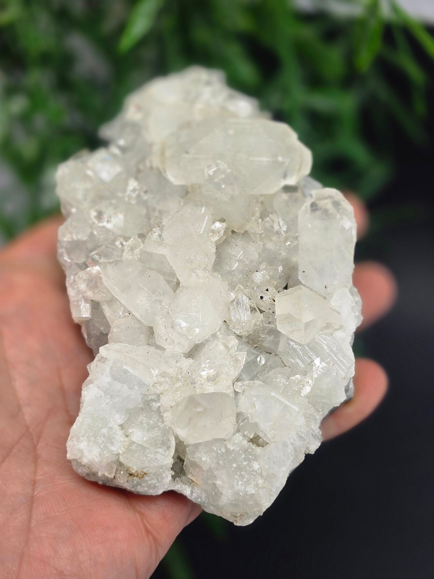 Apophyllite #4 Crystal Wellness