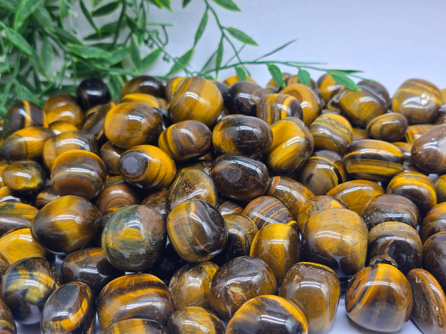 Gold Tiger's Eye Tumbled stone Crystal Wellness