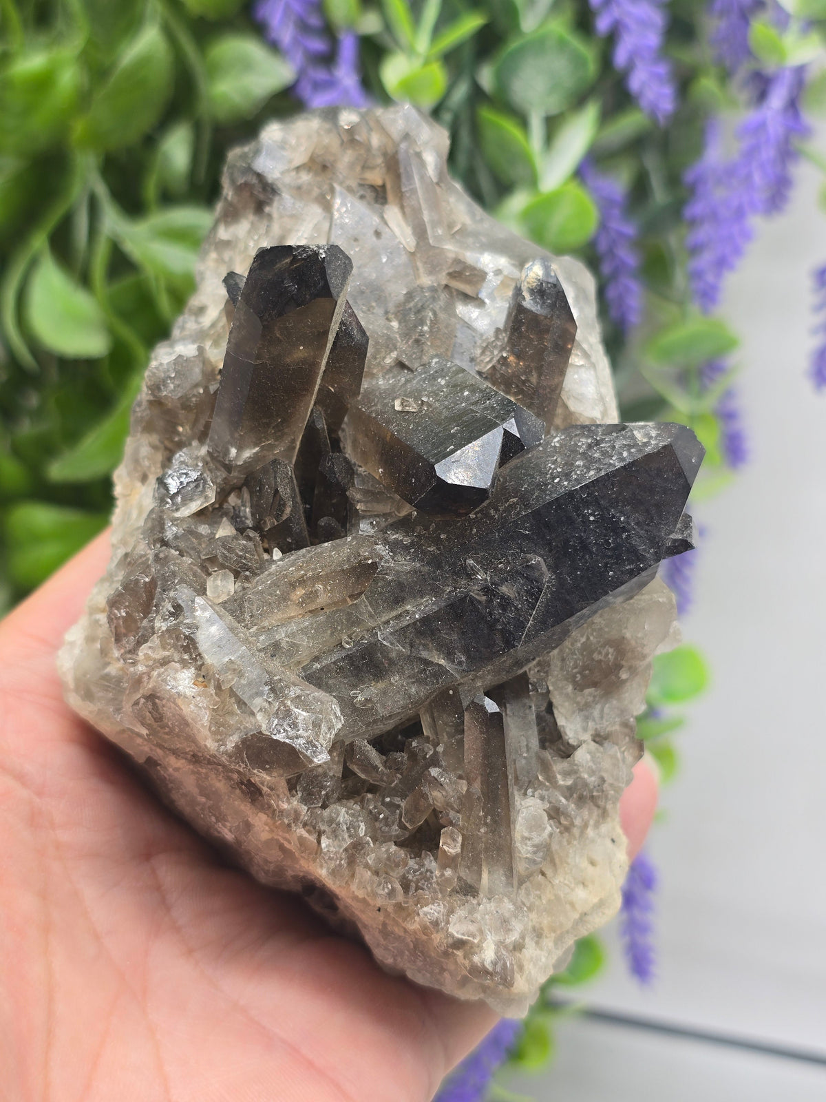 Smoky Quartz Cluster – Stone of Power, Grounding & Protection | 0.6kg Crystal Wellness