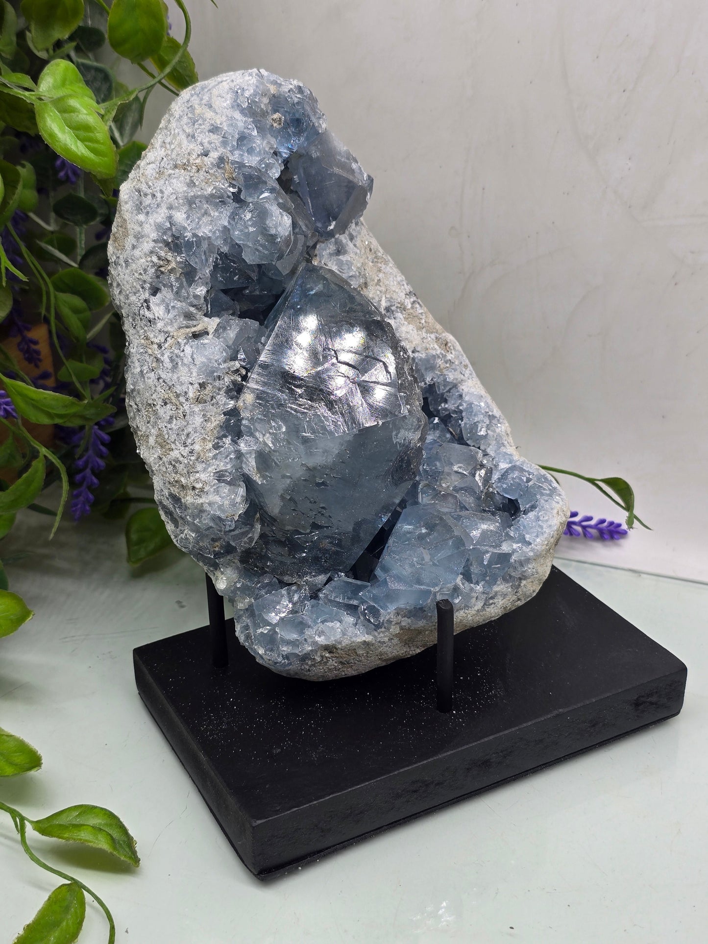 Celestite Geode Cluster 3kgs 19x14x10cm Premium Quality (Stone of Divine Peace & Angelic Connection) Crystal Wellness