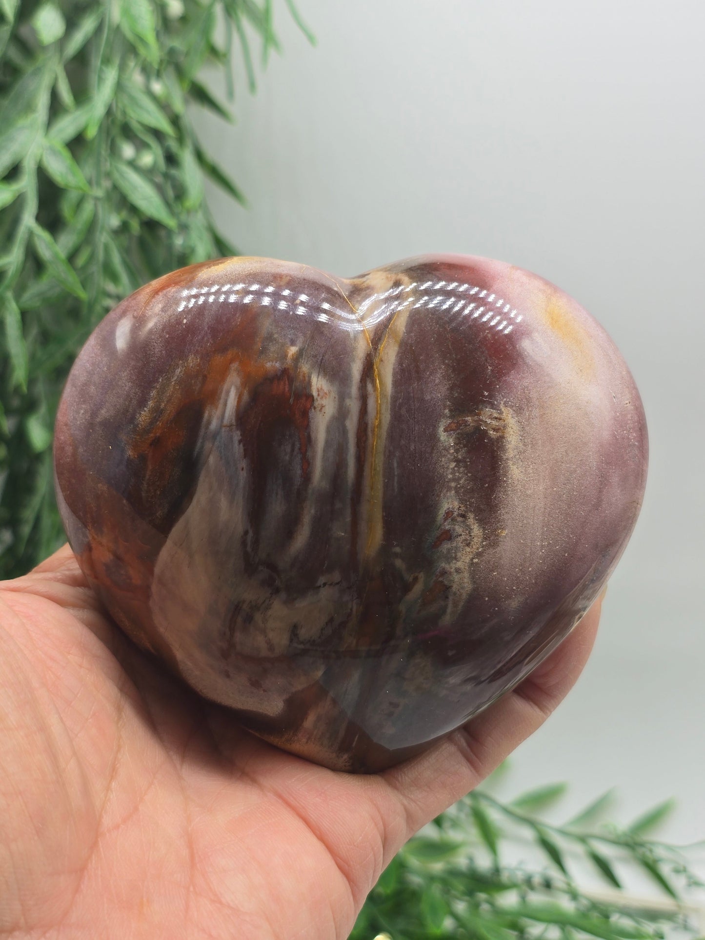 Petrified Wood Heart – Madagascar | 615g (Stand Included) Crystal Wellness