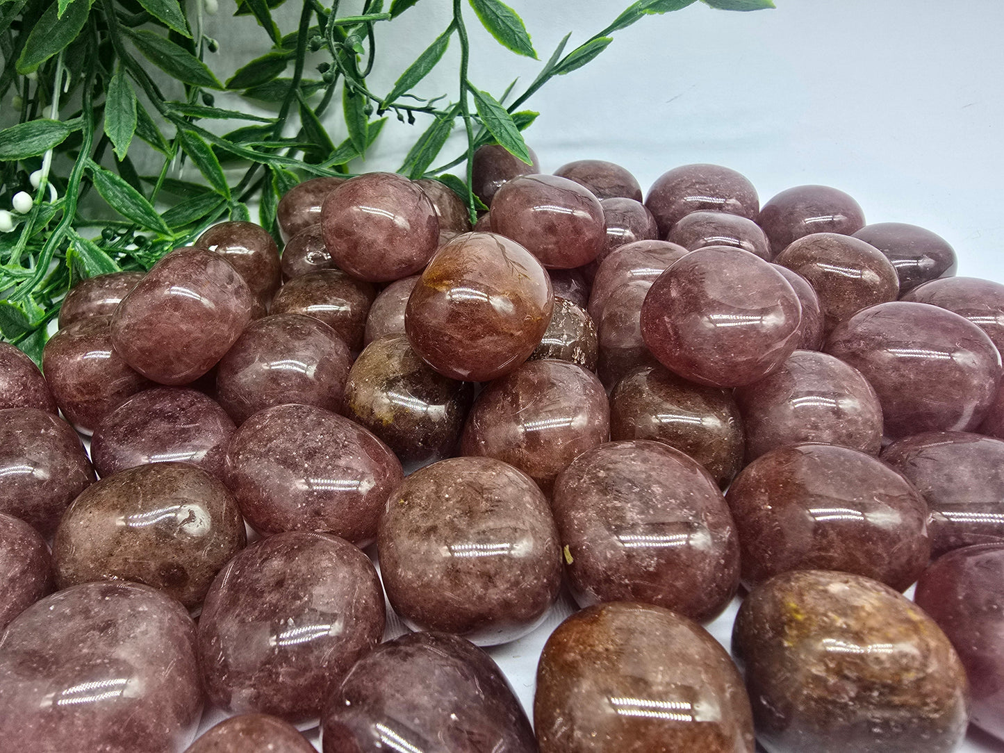 Muscovite Crystal Wellness