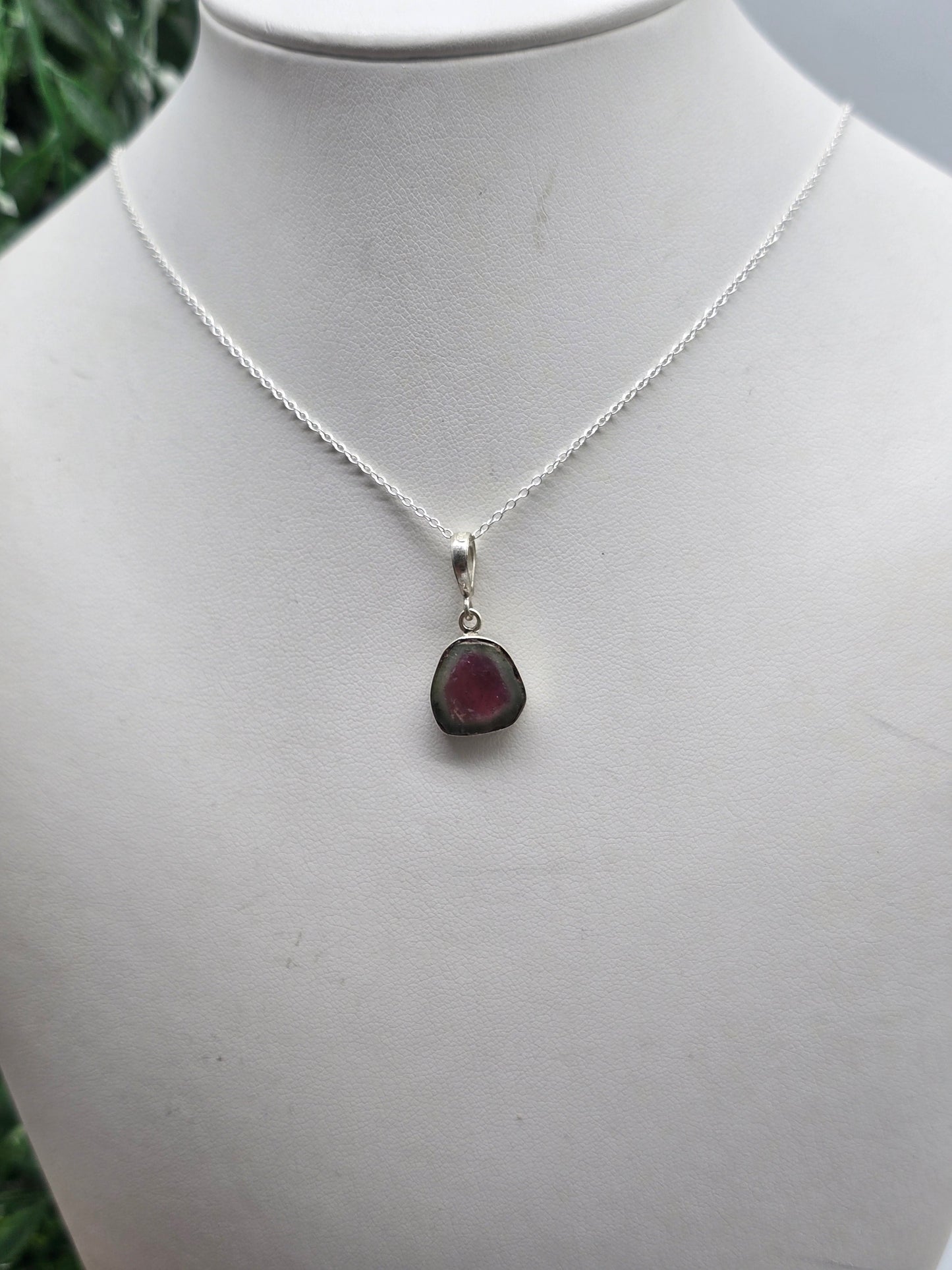 Rare Natural Watermelon Tourmaline 925 Silver Pendant - Chain Included (Stone of Heart Harmony) Crystal Wellness