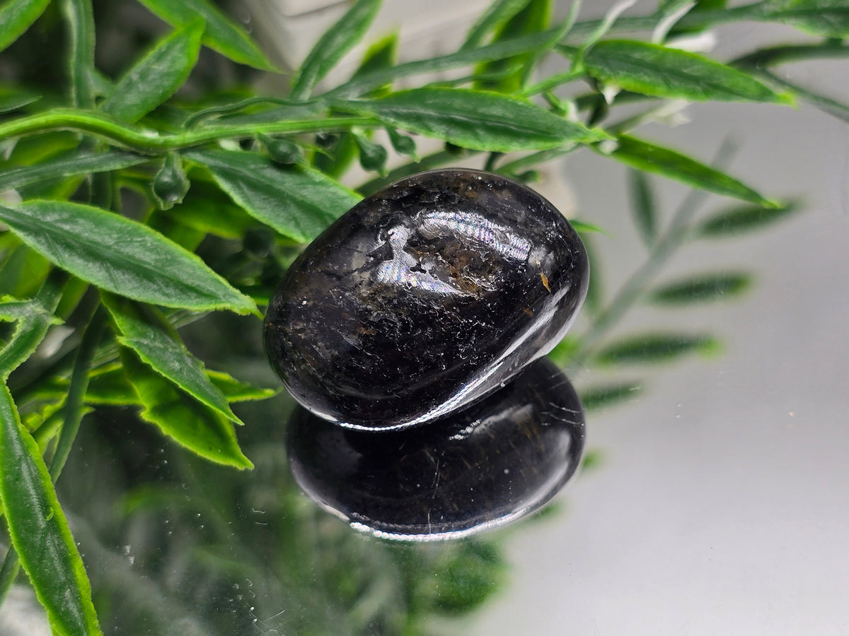 Genuine Nuumite Tumbled Stone | Stone of Ancient Protection, Transformation & Personal Power | 23.56g Crystal Wellness