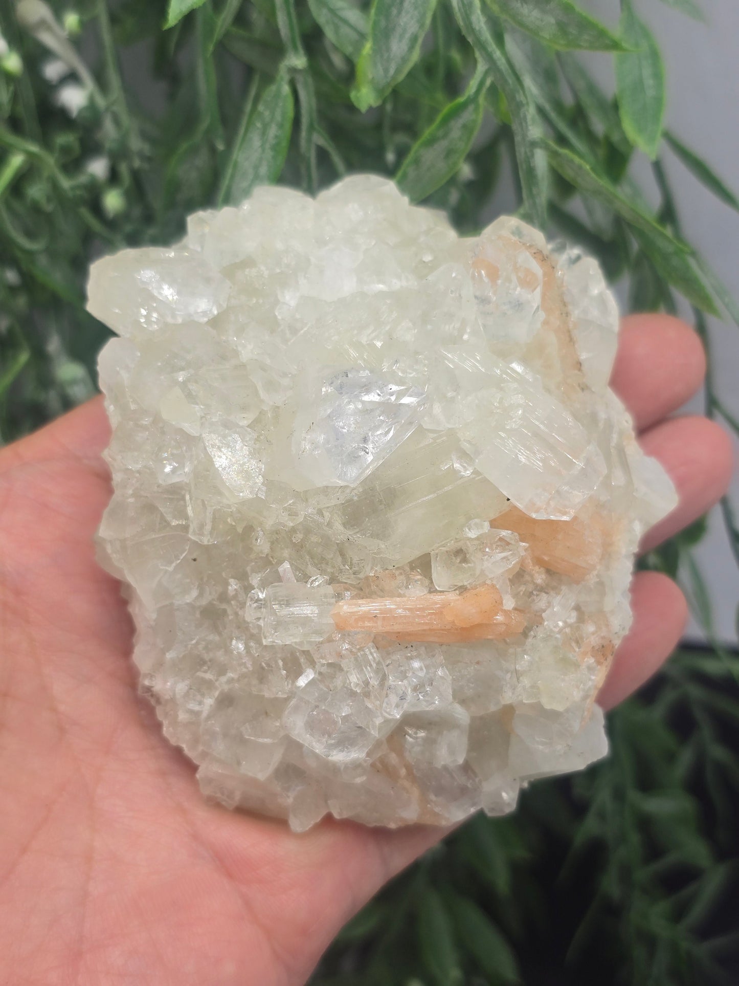 Apophyllite and Stilbite Crystal Wellness