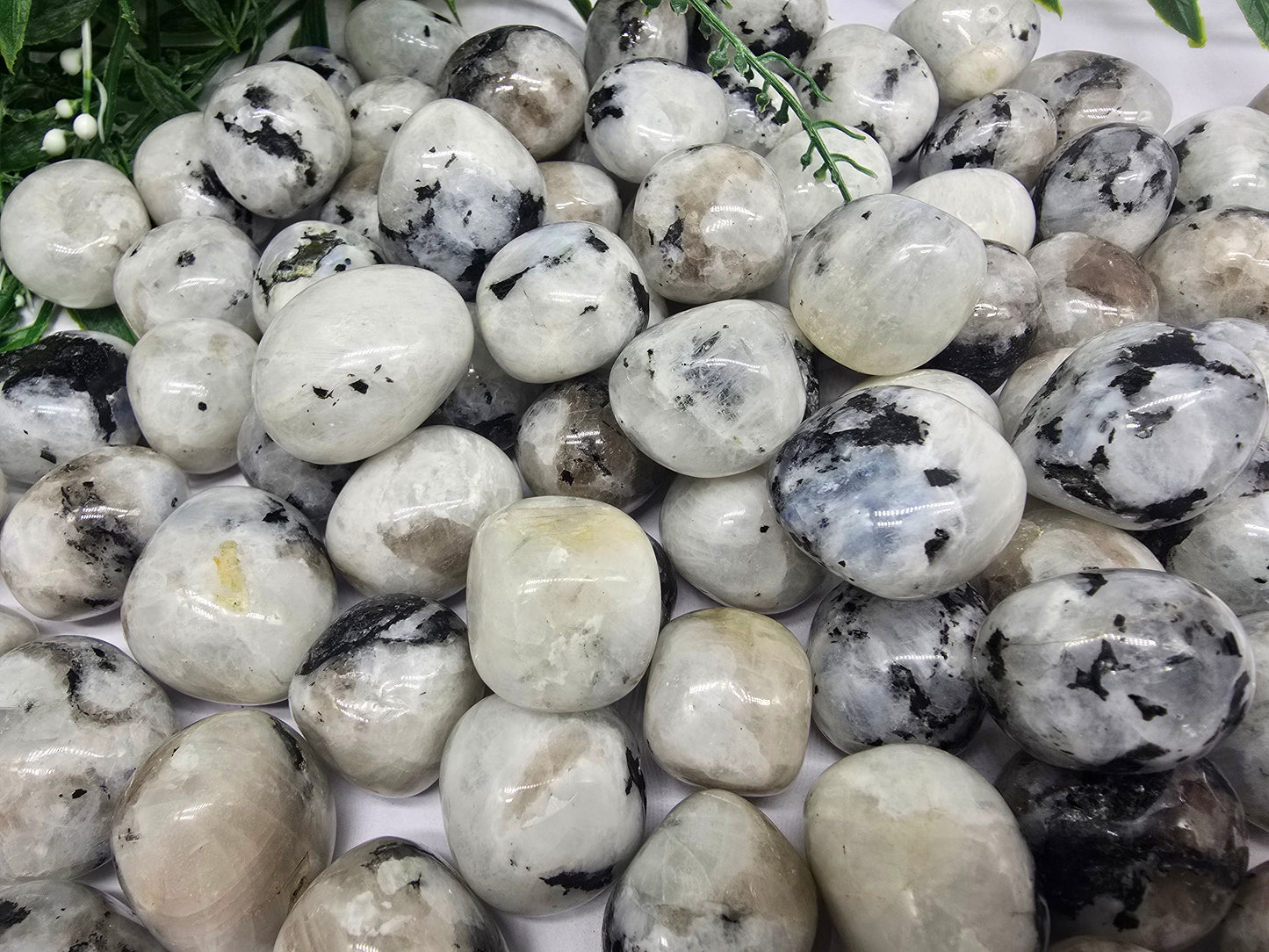 Moonstone Tumbled Stone Crystal Wellness