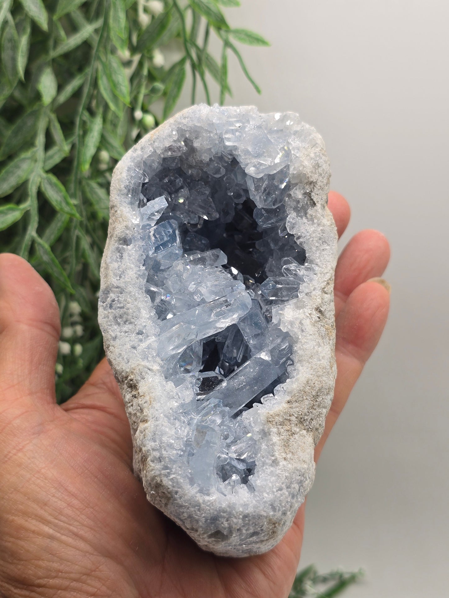 Celestial Harmony Celestite Geode – Natural Sky Blue Crystal Cave 1kg 14x7x7cm Crystal Wellness