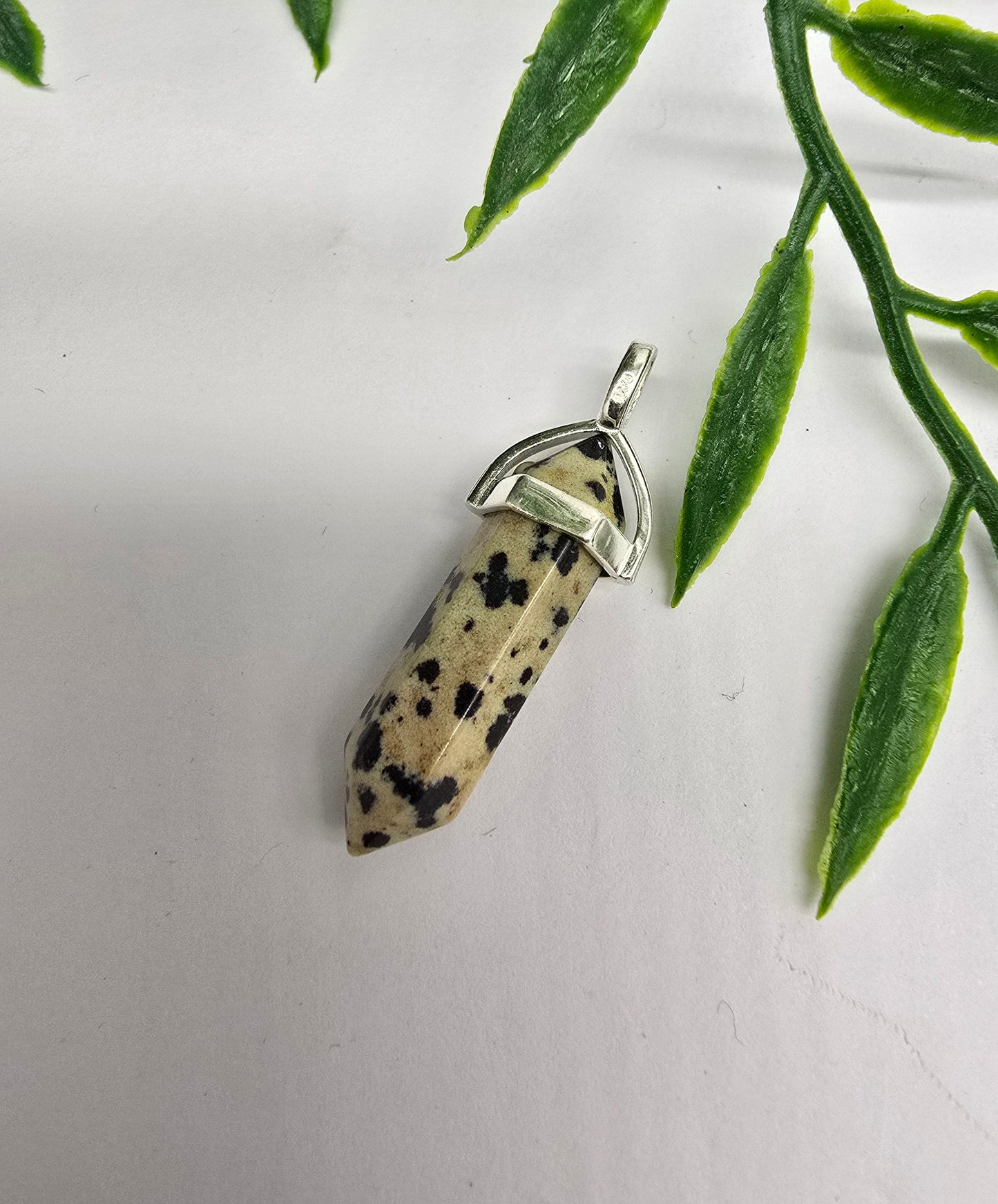 Dalmatian Jasper DT Pendant Crystal Wellness