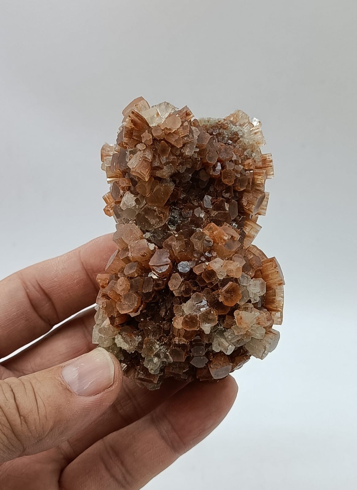Aragonite Sputnik Cluster