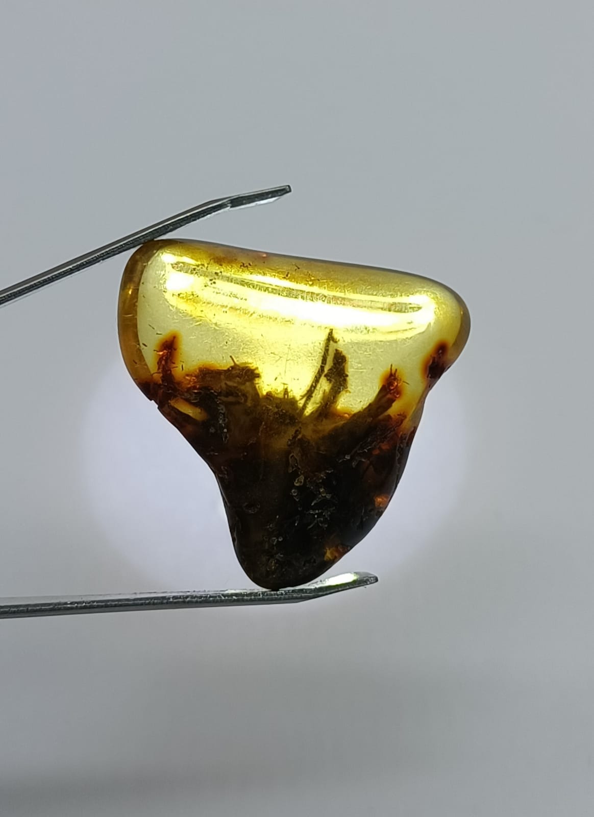 Genuine Baltic Amber Polished Crystal Wellness
