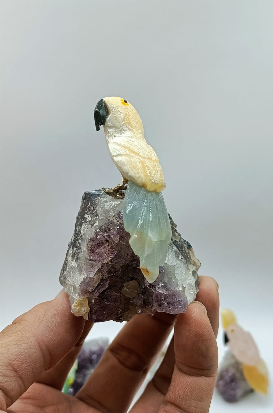 Cockatoo Birds on Amethyst and Quartz Crystal Wellness
