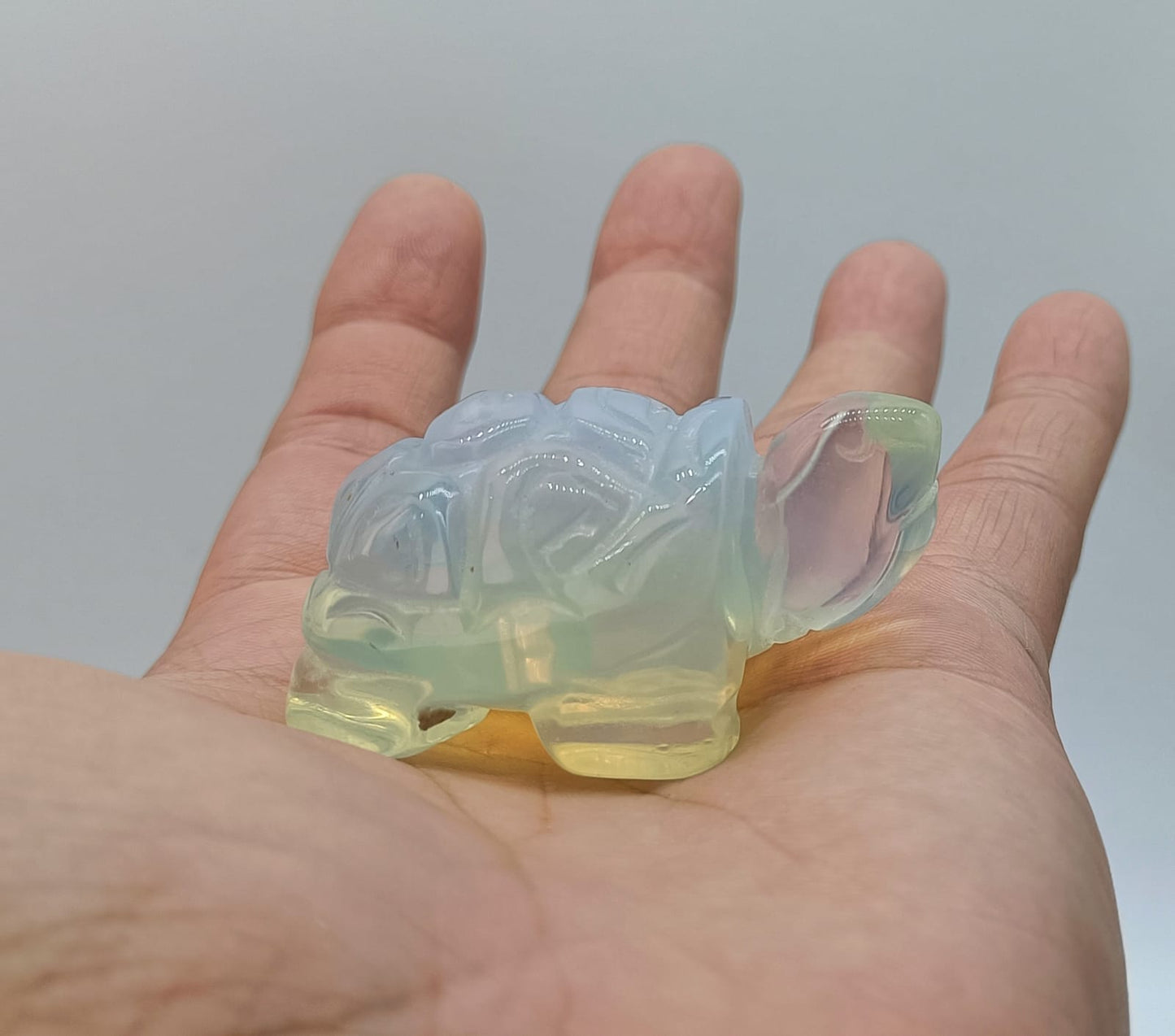 Opalite Turtle