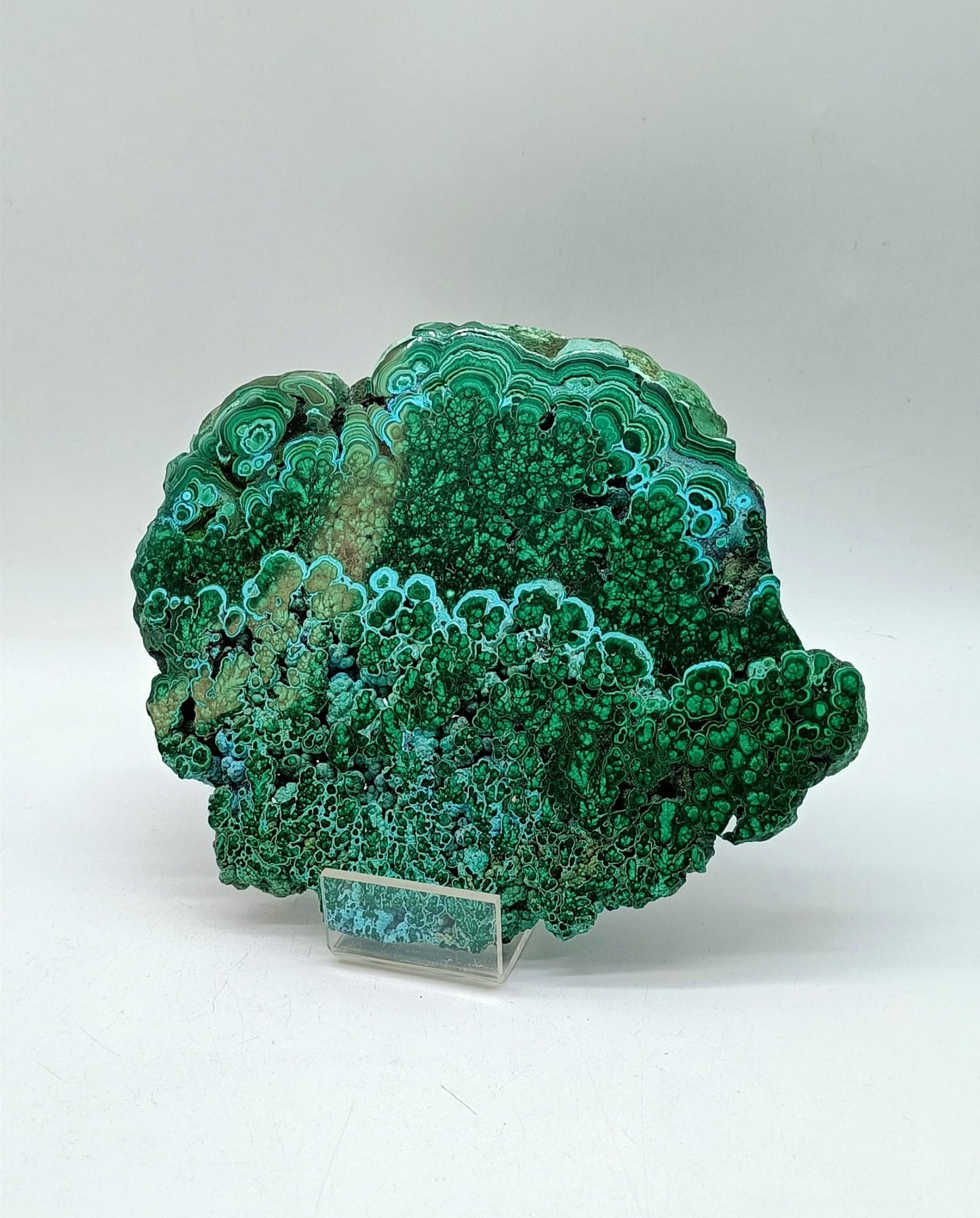 Malachite AAA 551g 157mm x 128mm Crystal Wellness