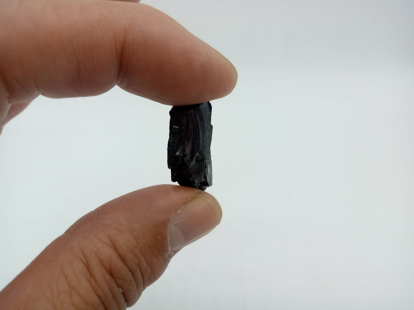 Elite Shungite Raw