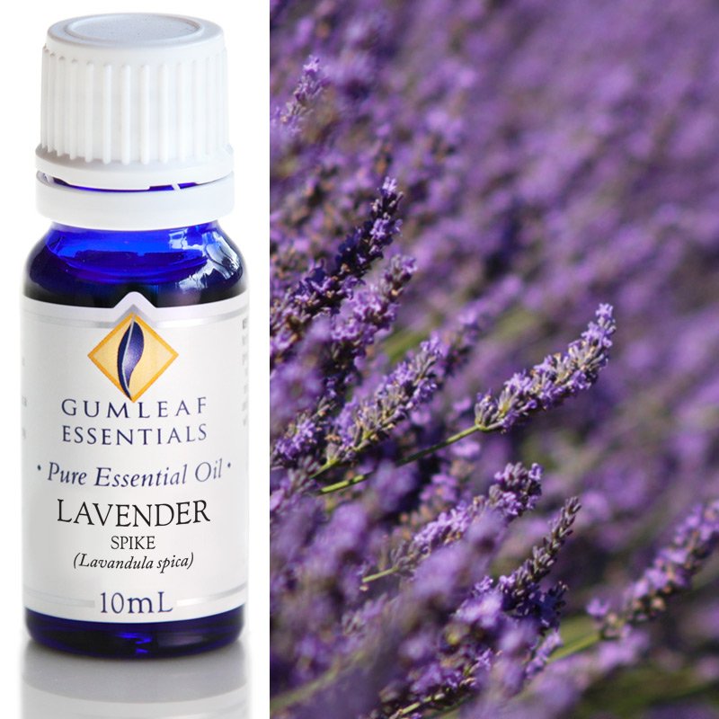 Lavender Spike Essential Oil