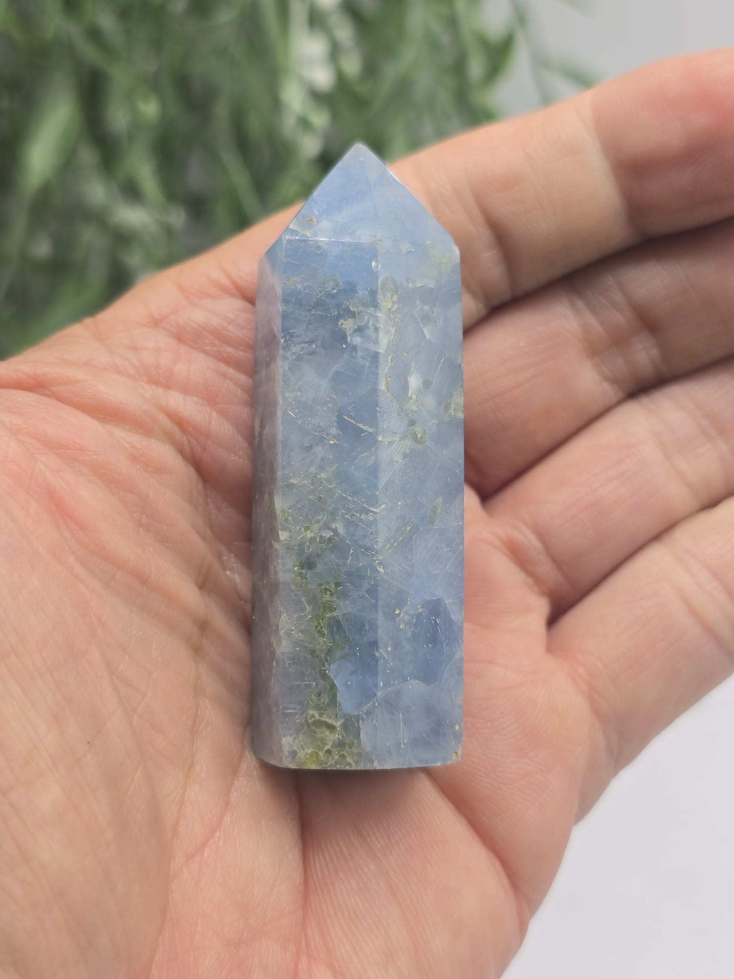 Celestite Point Crystal Wellness