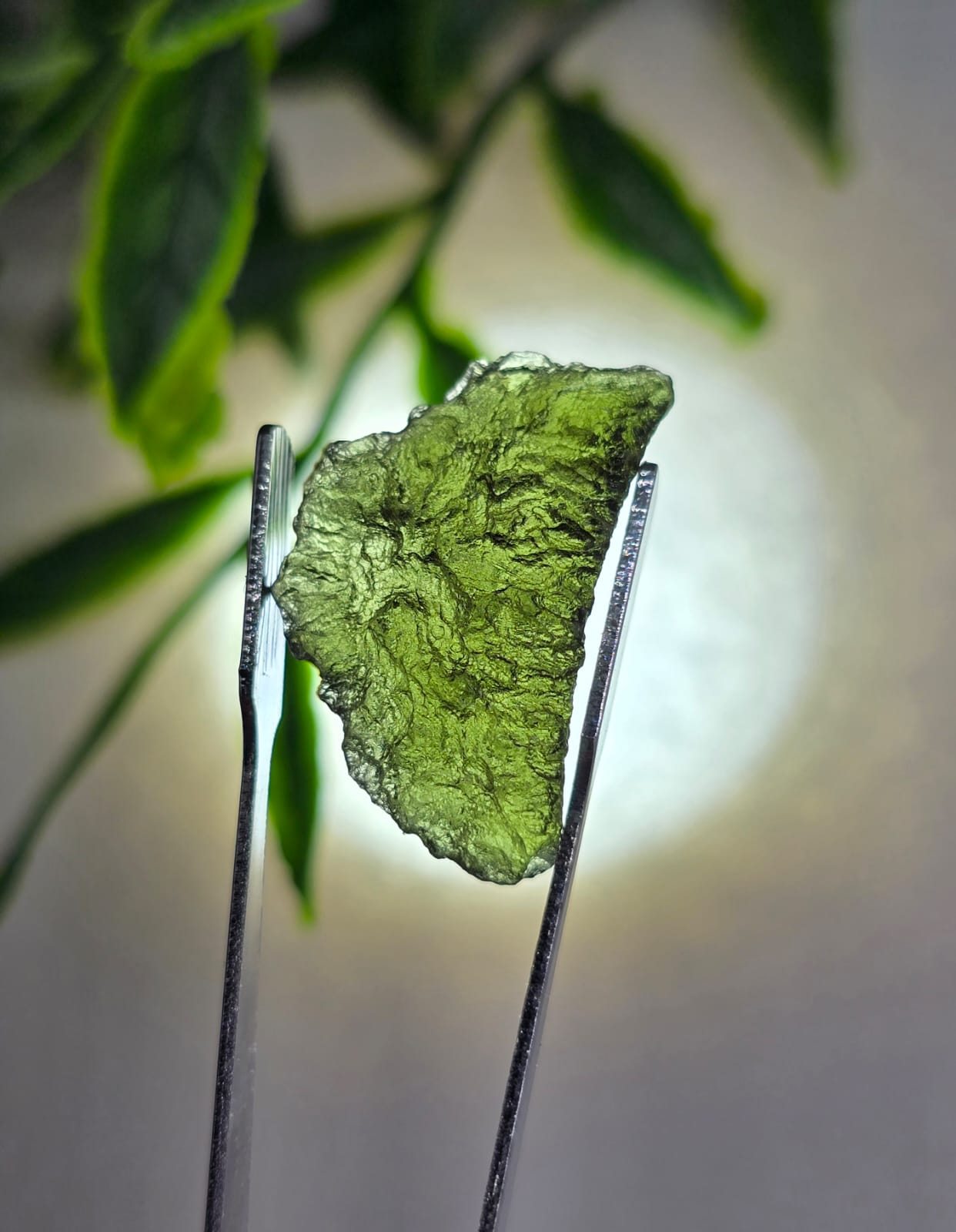 Authentic Moldavite 2.49g 23x14x7mm Crystal Wellness