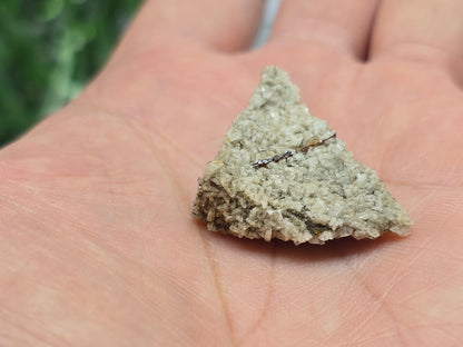 Rare Brookite Crystal Small Crystal Wellness