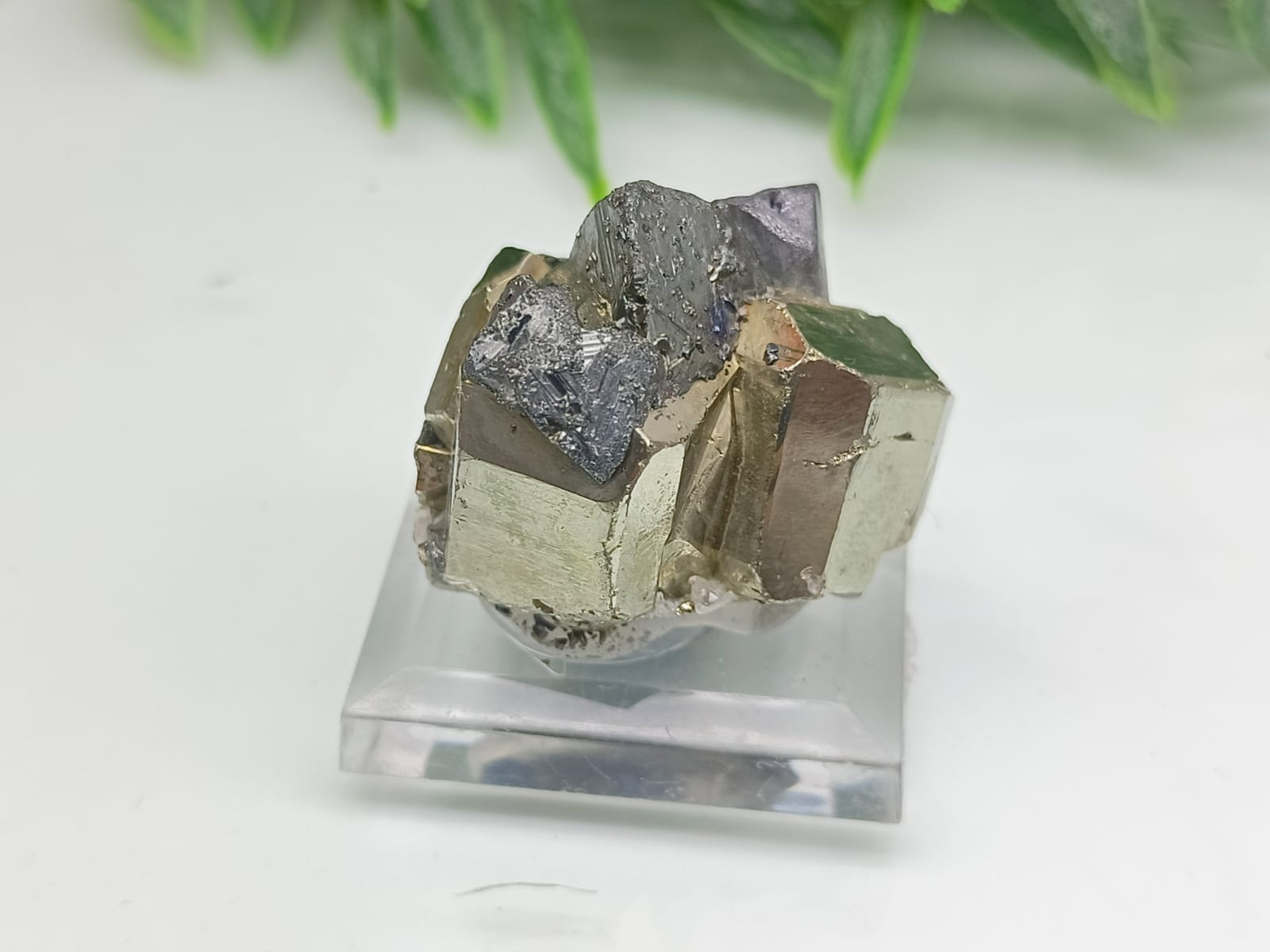 Natural Pyrite Cube with Bournonite Crystal Wellness