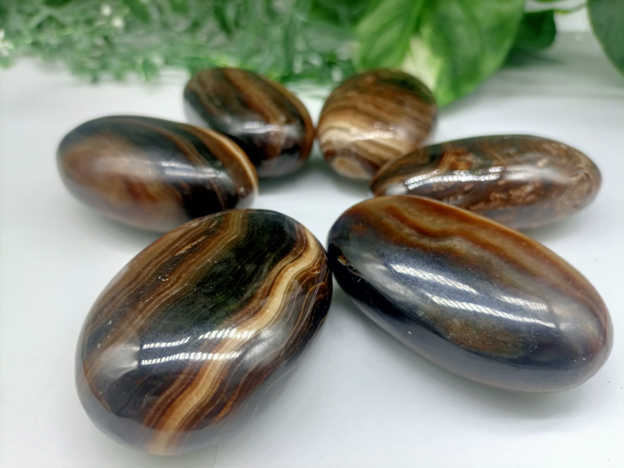 Brown Aragonite Palm Stone Crystal Wellness