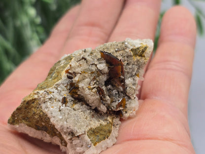 Rare Brookite Crystal 38g Crystal Wellness