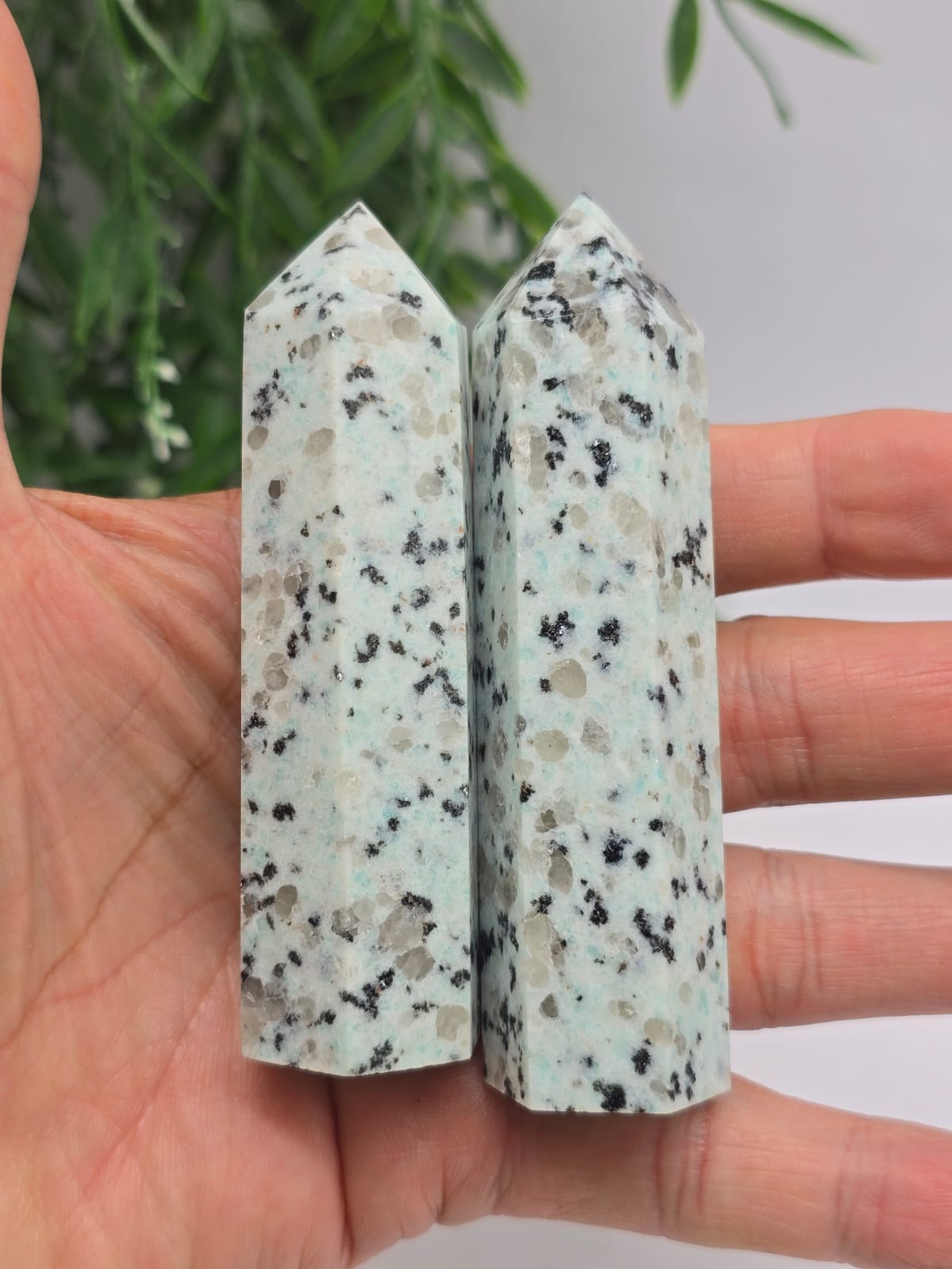 Kiwi Jasper Point Crystal Wellness