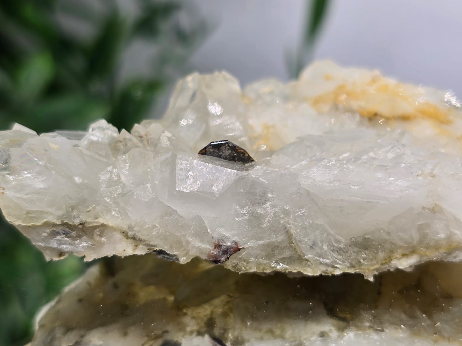 Rare Brookite Crystal 47g Crystal Wellness
